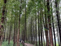 -云龙湖旅游景区