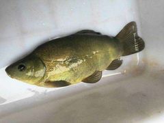 -潇湘·永州会馆(百子湾店)