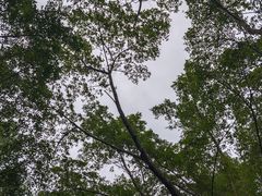 -滴水岩森林公园