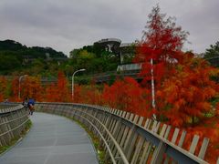 -梅峰山地公园