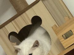 -小时光咖啡馆(北锣鼓巷店)