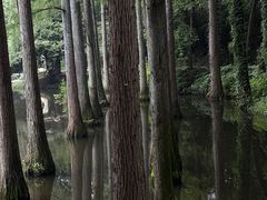 -波尔登森林公园
