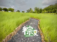 -红花山公园