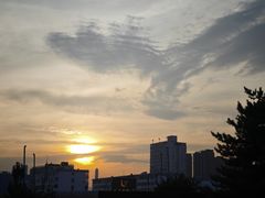 -太原动物园