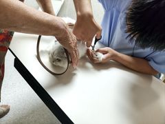 -谐和贝康宠物医院24小时·宠保定点(急重症转诊中心)