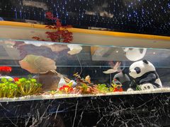-红辣椒·川菜·火锅(大洋中心店)