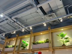 -翡翠拉面小笼包Crystal Jade(上海浦东国际机场T1店)