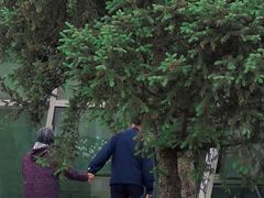 -石家庄市植物园