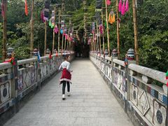 -西双版纳原始森林公园