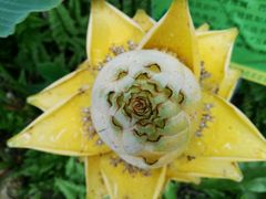 -南通洲际绿博园