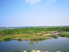 -春花秋色城市公园