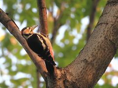 -人民公园(罗湖区)