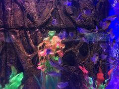-梦幻海洋王国(吾悦广场张家港店)