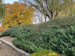 -元大都城垣遗址公园