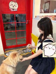 -DL HOPE明星造型