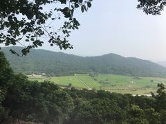 -风云岭森林公园