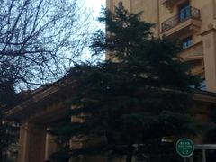 -上海浦东星河湾酒店