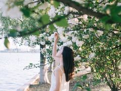 -漕湖湿地公园