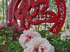 -仁和公园(顺义区)