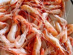 -八仔大富楼·河鲜(西江店)