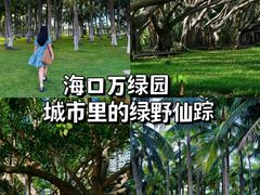 -万绿园
