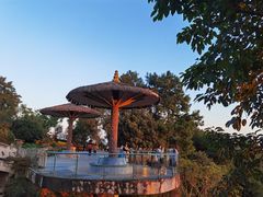 -铁山坪森林公园