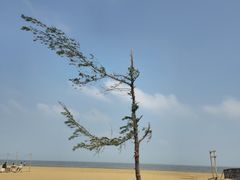 -白沙门生态公园