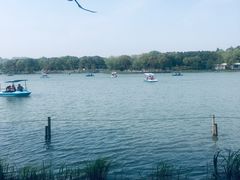 -昆山城市生态森林公园