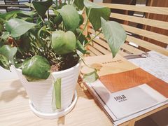 -MUJI无印良品(领秀城店)