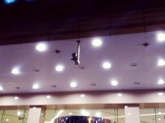 -上海虹桥君丽假日酒店(娄山关路地铁站店)