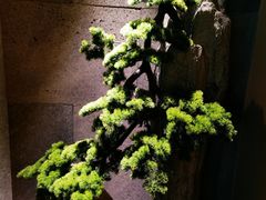 -若水云栖·足疗·按摩·SPA(城阳万达广场店)