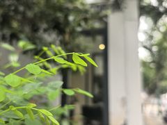 -北芒BEIMO COFFEE(五台山店)
