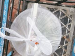 -许佳后安粉汤店