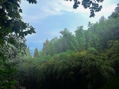 -莫干山风景区
