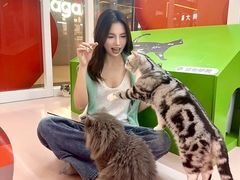 -福田卓悦INTOWN购物中心