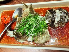 -木棉·醉心粤味(COCO Park店)