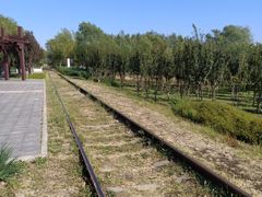 -永定河休闲森林公园