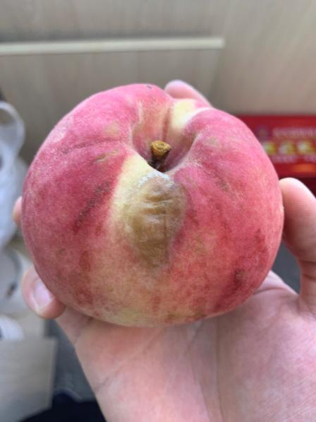 这也太无语了吧第一次买为啥给我个坏桃子