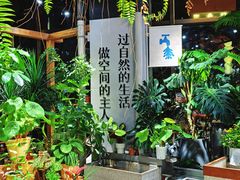 -瑞虹新天地月亮湾