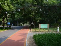 -大兴滨河森林公园