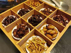 -昆虫窝子·特色云南菜(拓东路总店)
