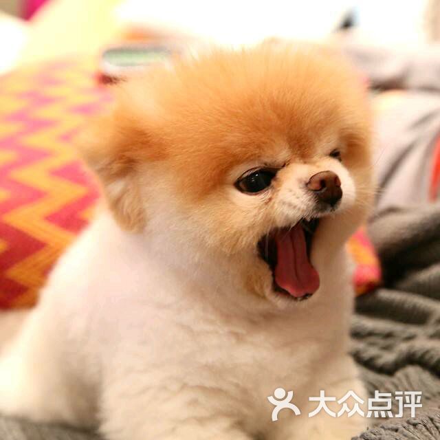 『』hhh上传的图片