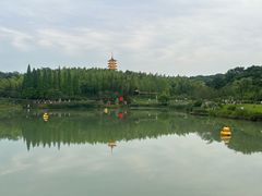 -宜兴龙背山森林公园
