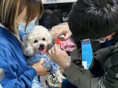-康爱犬猫诊所·牙专科·骨外科·影像内科(丰宁店)