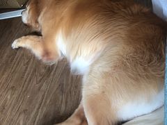 -佳百利宠物(荣乐中路115弄小区店)