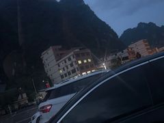 -银峰农庄·特色烧鸡·鲜无花果浸鸡