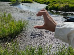 -泸沽湖国家级风景名胜区走婚桥