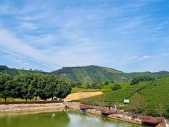 -帐篷客·溪龙茶谷度假酒店