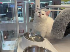 -CGV影城(滨江天街IMAX店)