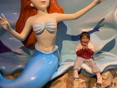 -海合安成都极地海洋公园